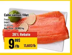 Mayrand Frozen Coho Salmon Fillet offer