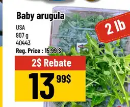 Mayrand Baby arugula 907 g offer