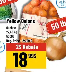 Mayrand Yellow Onions offer