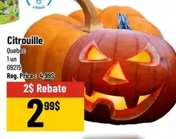Mayrand Pumpkin 1 un offer