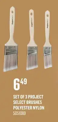 Canac Set of 3 Project Select Brushes Polyester Nylon offer