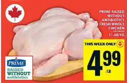 Food Basics PRIME RAISED WITHOUT ANTIBIOTICS FRESH WHOLE CHICKEN offer