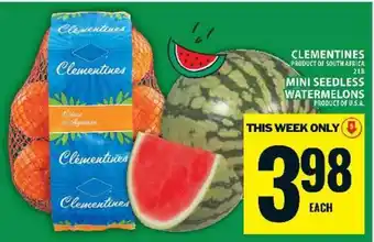 Food Basics MINI SEEDLESS WATERMELONS offer