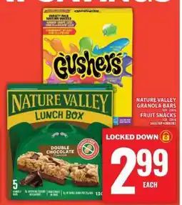 Food Basics Nature Valley Granola Bars / Fruit Snacks offer