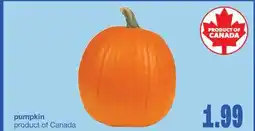 Wholesale Club Pumpkin offer