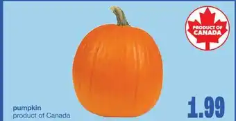 Wholesale Club Pumpkin offer