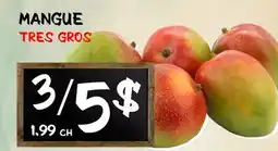 Marche Salaberry MANGUE offer