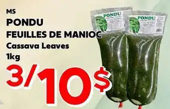 Marche Salaberry MS PONDU FEUILLES DE MANIOC offer