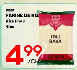 Marche Salaberry DEEP FARINE DE RIZ offer