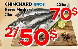 Marche Salaberry CHINCHARD GROS offer