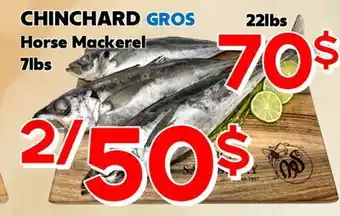 Marche Salaberry CHINCHARD GROS offer