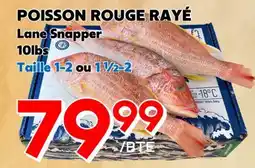 Marche Salaberry POISSON ROUGH RAYE offer