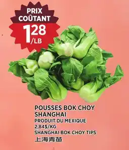 Kim Phat SHANGHAI BOK CHOY TIPS offer