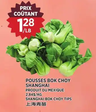 Kim Phat SHANGHAI BOK CHOY TIPS offer