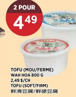 Kim Phat TOFU (SOFT/FIRM) offer