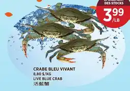 Kim Phat LIVE BLUE CRAB offer