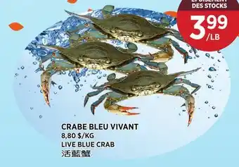 Kim Phat LIVE BLUE CRAB offer