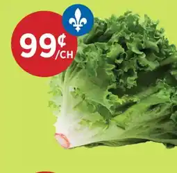 Kim Phat GREEN CURLY LETTUCE offer