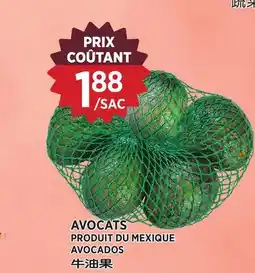 Kim Phat AVOCADOS offer