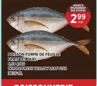 Kim Phat WHOLE FRESH YELLOW LEAF FISH offer