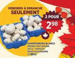 Kim Phat WHITE MUSHROOMS offer