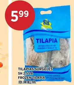Kim Phat SH FROZEN TILAPIA offer