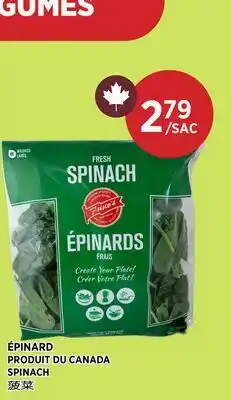 Kim Phat SPINACH offer