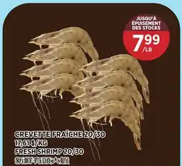 Kim Phat FRESH SHRIMP 20/30 offer