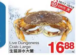 T&T Supermarket LIVE DUNGENESS CRAB-LARGE offer