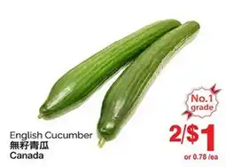 T&T Supermarket ENGLISH CUCUMBER offer