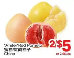 T&T Supermarket WHITE/RED POMELO offer