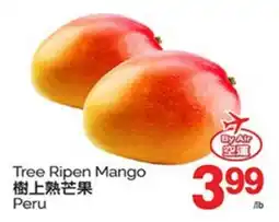 T&T Supermarket TREE RIPEN MANGO offer