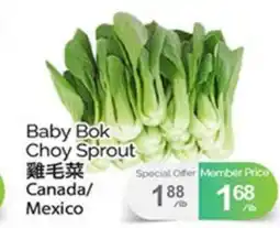 T&T Supermarket BABY BOK CHOY SPROUT offer