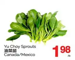 T&T Supermarket YU CHOY SPROUTS offer