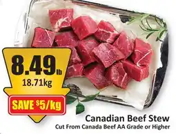Starsky Canadian Beef Stew offer
