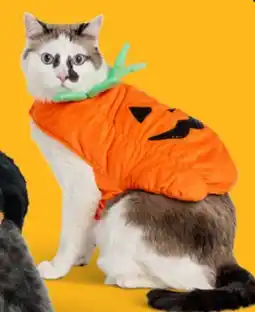 Petsmart Cat Costumes offer
