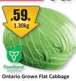 Starsky Ontario Grown Flat Cabbage offer