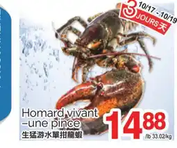 T&T Supermarket HOMARD VIVANT–UNE PINCE offer