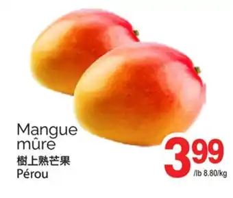 T&T Supermarket MANGUE MÛRE offer