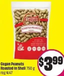 FreshCo Gagan Peanuts Roasted In Shell offer