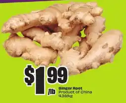 FreshCo Ginger Root offer