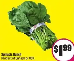 FreshCo Spinach, Bunch offer