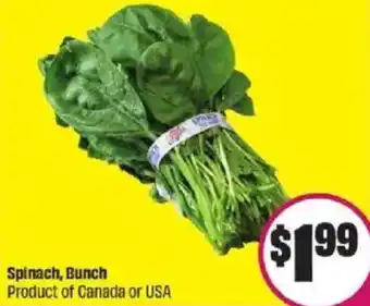 FreshCo Spinach, Bunch offer