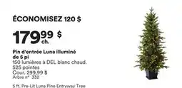 Michaels Pin d'entrée Luna illuminé de 5 pi offer