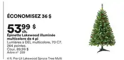 Michaels Épinette Lakewood illuminée multicolore de 4 pi offer