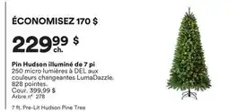 Michaels Pin Hudson illuminé de 7 pi offer