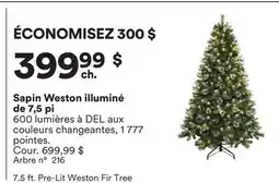 Michaels Sapin Weston illuminé de 7,5 pi offer