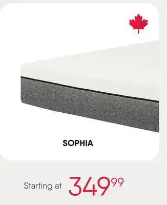 Meubles RD SOPHIA offer