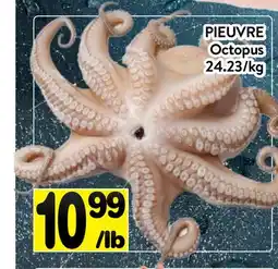 Supermarché PA PIEUVRE | Octopus offer