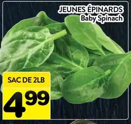 Supermarché PA JEUNES ÉPINARDS | Baby Spinach offer